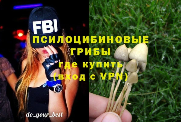 spice Бугульма