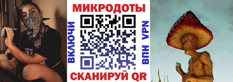 Галлюциногенные грибы Psilocybine cubensis  Ачхой-Мартан 